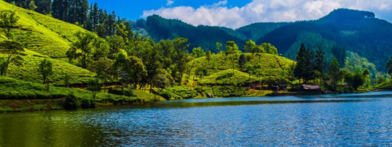 Matale